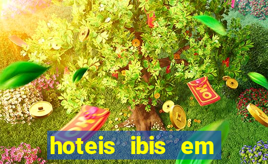 hoteis ibis em assis sp